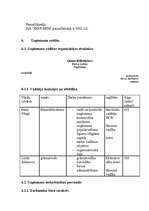 Biznesa plāns 'Biznesa plāna paraugs', 10.