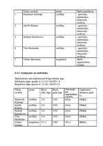 Biznesa plāns 'Biznesa plāna paraugs', 11.