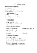 Biznesa plāns 'Biznesa plāna paraugs', 12.