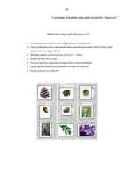 Diplomdarbs 'Skolēnu līdz 3.klasei radošās darbības veicināšana dabas vidē', 89.