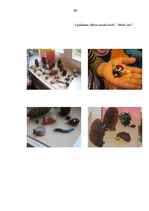 Diplomdarbs 'Skolēnu līdz 3.klasei radošās darbības veicināšana dabas vidē', 90.