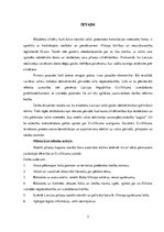 Referāts 'Latvijas Republikas civillikums (1937.gads)', 3.