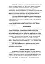 Konspekts 'Mehanizācija', 4.