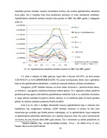 Prakses atskaite 'Prakse SIA "Consilium Optima Brokers"', 22.