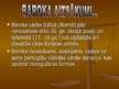 Prezentācija 'Baroks', 2.
