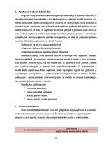 Referāts 'Likviditātes, maksātspējas, efektivitātes, rentabilitātes rādītāji un bankrota p', 13.