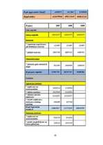 Referāts 'Likviditātes, maksātspējas, efektivitātes, rentabilitātes rādītāji un bankrota p', 39.