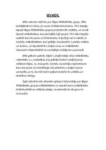 Referāts 'Rīgas mākslinieku grupa', 3.