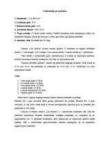 Referāts 'Mārketinga plāna izstrāde. Viesnīca "City Motion"', 2.