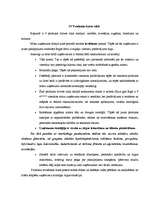 Referāts 'Mārketinga plāna izstrāde. Viesnīca "City Motion"', 5.