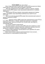 Referāts 'Синтез белка', 2.