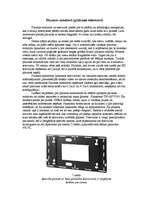 Referāts 'Prezentācijas aparatūras', 7.