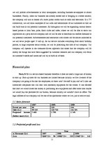 Biznesa plāns 'Party 'R' us - Marketing Plan', 11.