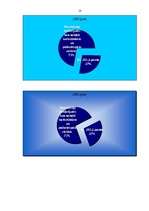 Referāts 'Noziedzīgi nodarījumi Latvijā no 2005.gada līdz 2007.gadam ', 10.