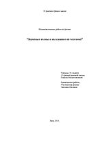 Referāts 'Звуковые волны и их влияние на человека', 1.
