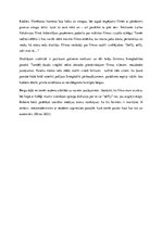 Eseja 'Apraksts par latviešu režisori Lailu Pakalniņu. Filmas "Spogulī" apskats.', 8.