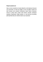 Eseja 'Lato Lapsa "Šofera dēls Minhauzens"', 3.