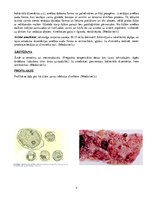 Konspekts 'Medicīniskā parazitoloģija', 6.