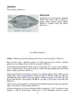 Konspekts 'Medicīniskā parazitoloģija', 12.