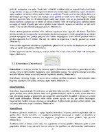 Konspekts 'Medicīniskā parazitoloģija', 13.