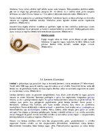 Konspekts 'Medicīniskā parazitoloģija', 14.