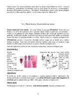 Konspekts 'Medicīniskā parazitoloģija', 15.