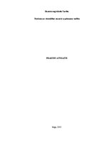 Prakses atskaite 'Prakse picērijā "Čili pica"', 1.