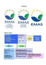 Referāts 'Vides pārvaldības un audita shēmas ieviešanas vadlīnijas un vides pārvaldības st', 15.