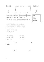 Paraugs 'Statiski nenoteicamas sijas apr'ēķins', 1.