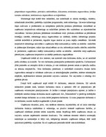 Diplomdarbs 'Ekonomiskās krīzes ietekme uz uzņēmējdarbību', 47.