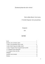 Referāts '4.Zemgales divīzijas darbība Daugavpils cietoksnī starpkaru periodā', 5.