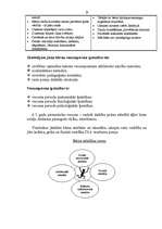 Konspekts 'Bērnu gatavība skolai', 3.