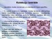 Prezentācija 'Zīmola apskats: SIA "Lauma Fabrics"', 8.