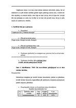 Biznesa plāns 'Sociālais tūrisms', 5.