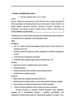 Biznesa plāns 'Sociālais tūrisms', 7.