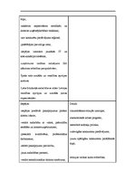 Biznesa plāns 'Sociālais tūrisms', 9.