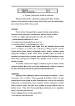 Biznesa plāns 'Sociālais tūrisms', 20.