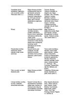 Biznesa plāns 'Sociālais tūrisms', 31.