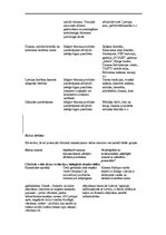 Biznesa plāns 'Sociālais tūrisms', 34.