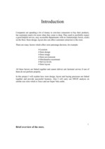 Referāts 'How Store Can Attract Customers', 3.