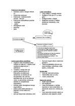 Konspekts 'Satversmes tiesa', 1.