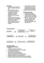 Konspekts 'Satversmes tiesa', 2.