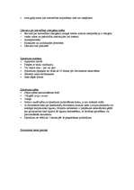 Konspekts 'Satversmes tiesa', 3.