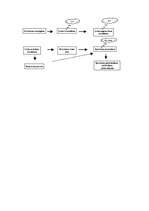 Konspekts 'Satversmes tiesa', 4.