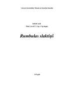 Referāts 'Rumbulas slaktiņš', 1.