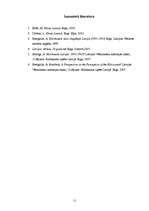 Referāts 'Rumbulas slaktiņš', 10.