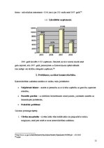 Referāts 'Ar komercdarbības uzsākšanu saistītās problēmas', 12.