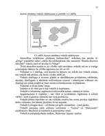 Referāts 'Mazumtirdzniecības uzņēmuma darbības analīze un plānošana', 27.