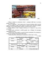 Referāts 'Mazumtirdzniecības uzņēmuma darbības analīze un plānošana', 28.