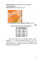 Diplomdarbs 'Meža dabiskā atjaunošanās pēc izlases cirtēm aizsargājamās dabas teritorijās', 35.